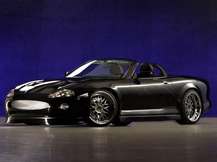  Jaguar XK-RS Concept 2004 года  (фото 1 из 3)
